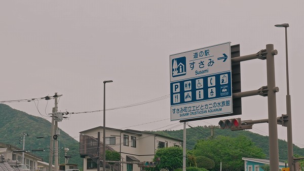 道の駅すさみのグルメと観光スポット!和歌山の隠れた魅力【和歌山県道の駅めぐり】