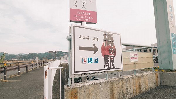 和歌山みなべ町・道の駅みなべうめ振興館と周辺スポットで楽しむ紀州梅の魅力【和歌山県道の駅めぐり】